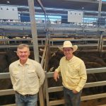 Return buyers play a part at Bungulla Merinos 21st annual ram sale