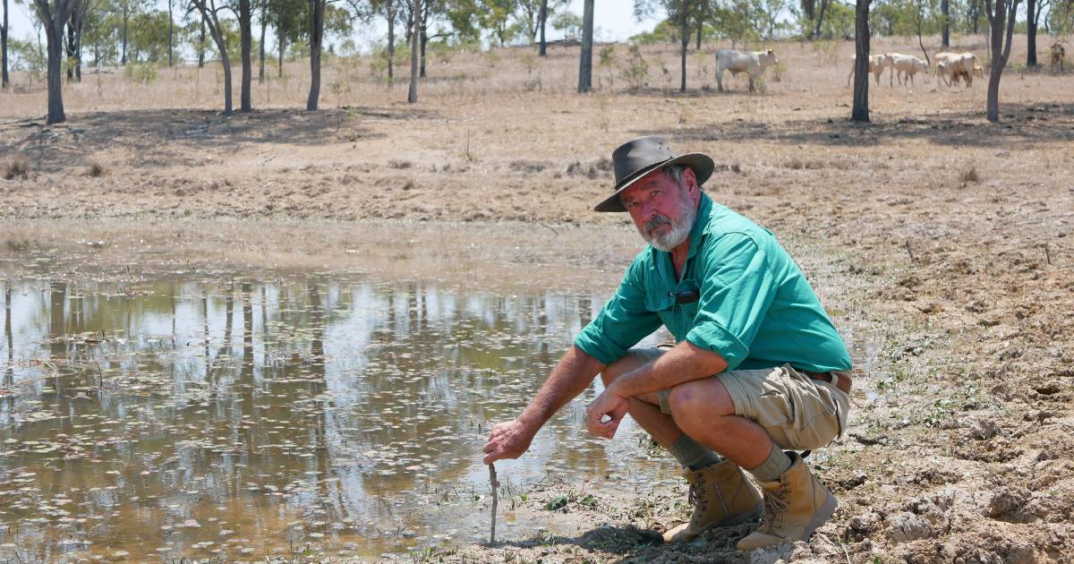 Rideglands producers face 'water poverty' while pipeline built just down the road