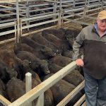 Lindsay Brown wins 2023 National Merino Sheep Young Judges Championship | The Land