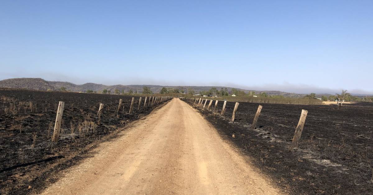 Up to 30 per cent of research station's pastures burnt