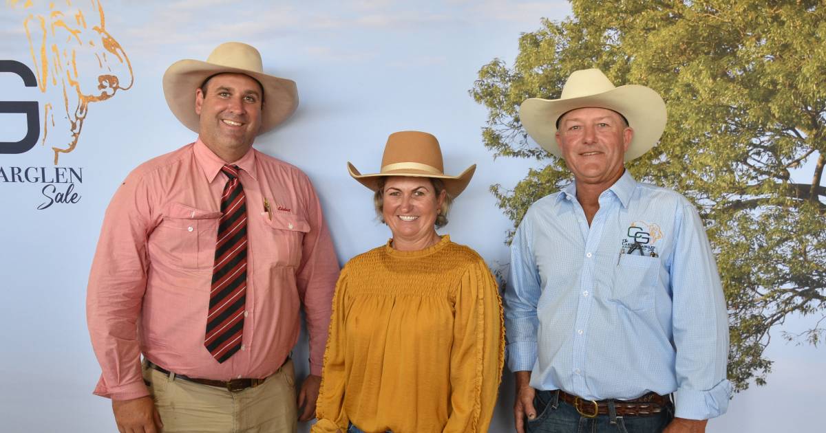 Inaugural Carinya Garglen Brahman bull sale gains buyer interest from three states and territories | Queensland Country Life