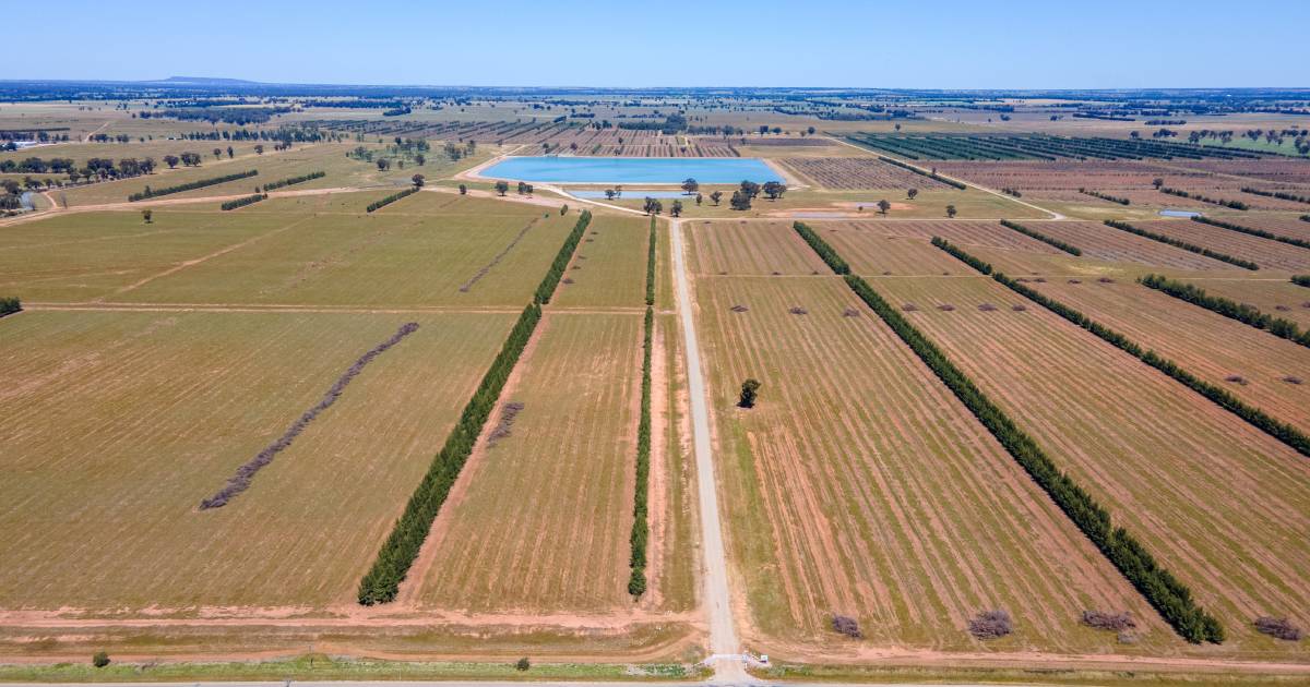 Ferrero's Riverina aggregation on market with $80m-plus price tag