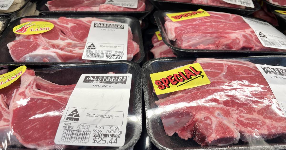 Lamb producers feel pain of falling prices, but little impact on retail price prompts tough questions | The Land