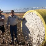 Toogoolawah yarding up as producers destock