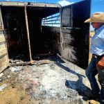 Senate committee recommends aerial shooting of feral horses at Kosciuszko National Park