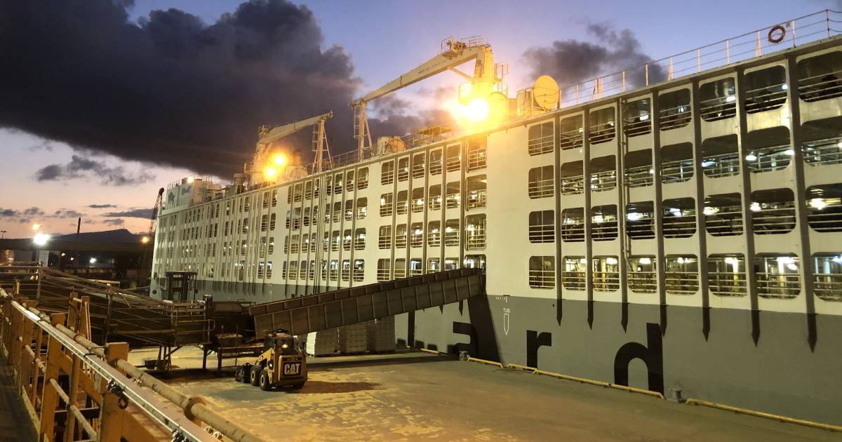 Boat trade floats along