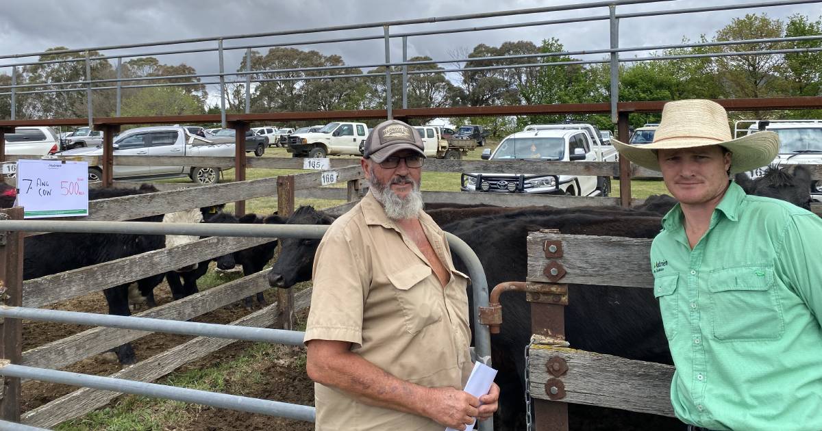 Angus steers sell to $990 at Braidwood