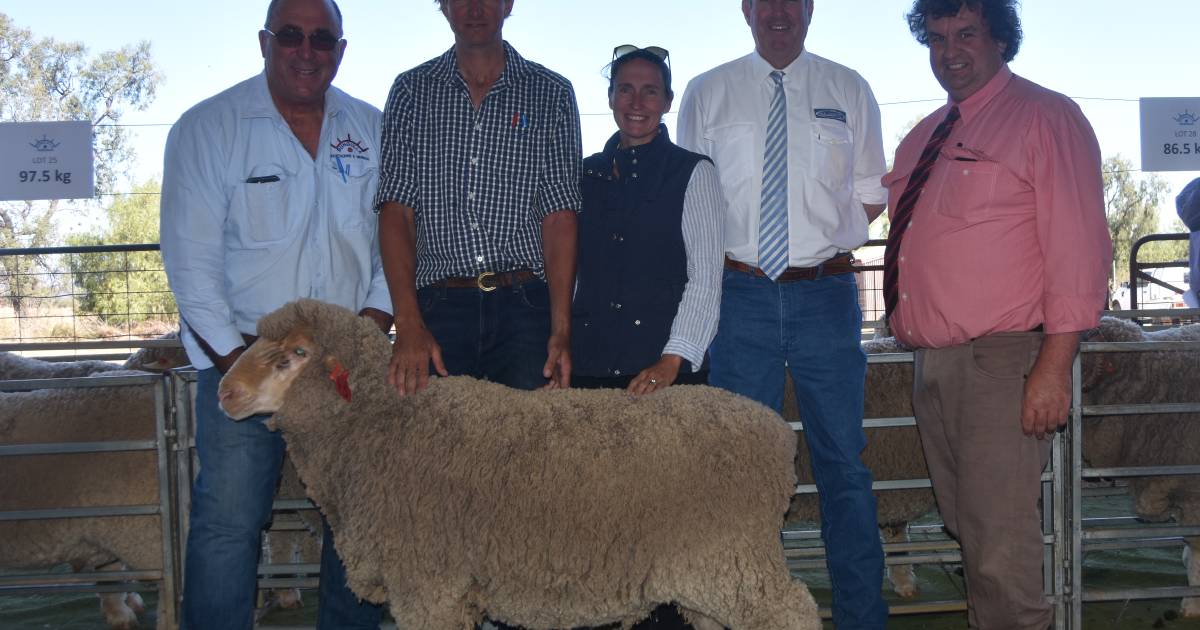 Bungulla clears over 89 merino rams.