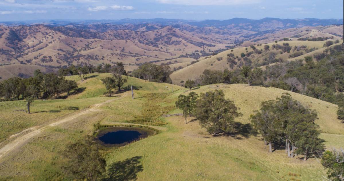 Quality tablelands grazing country asking $2.25 million