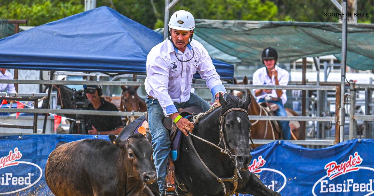 Michael Hiscock on Hazewood Advice wins his third Warwick Gold Cup | Queensland Country Life