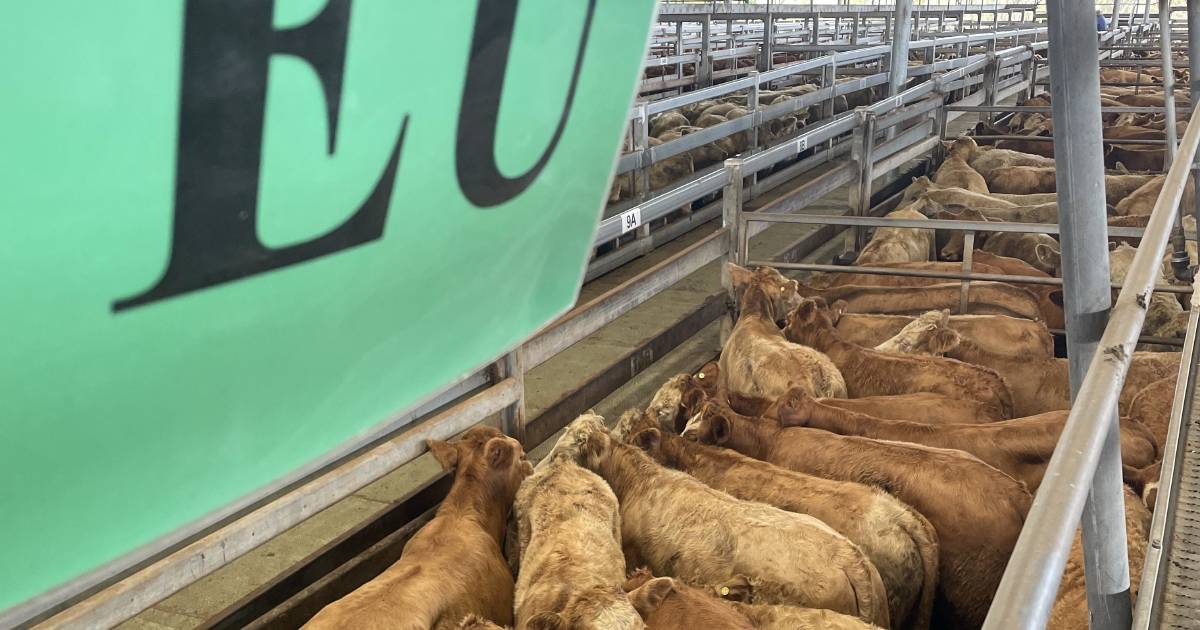 EU trade deal must be fair, not just free: Cattle Australia