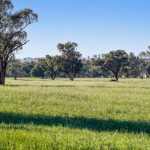 2024 Cattle Feeders Hall of Fame honorees announced