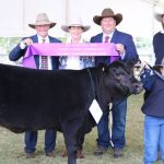 Wool quality and structure in demand at Egelabra Merino sale.