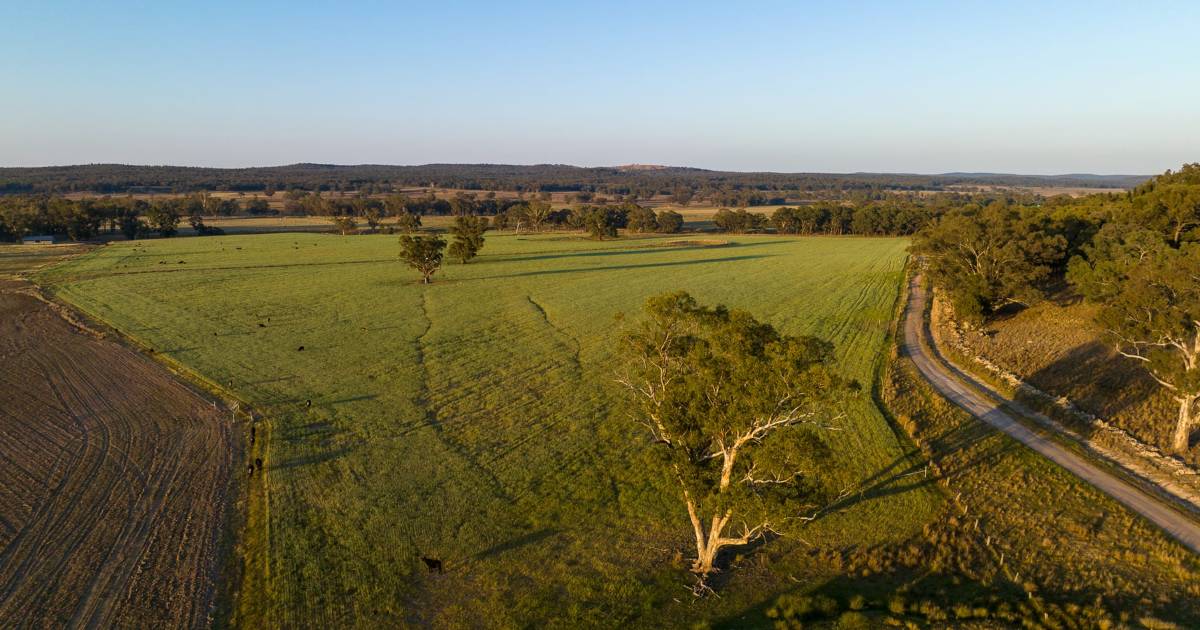 Gaden’s stand out Central West property Lockerbie goes to auction | The Land