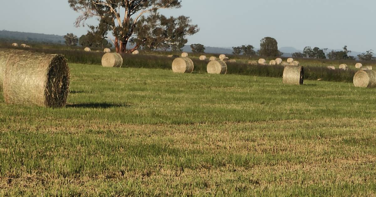 Farmland index returns tumble as ag markets and land values slip