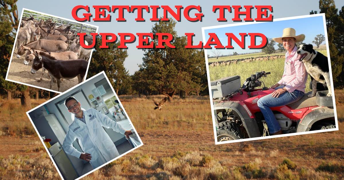 Keeping farmers farming, producer priorities, an unlikely hero and “Plan Bee”; Getting the Upper Land episode 16 | The Land