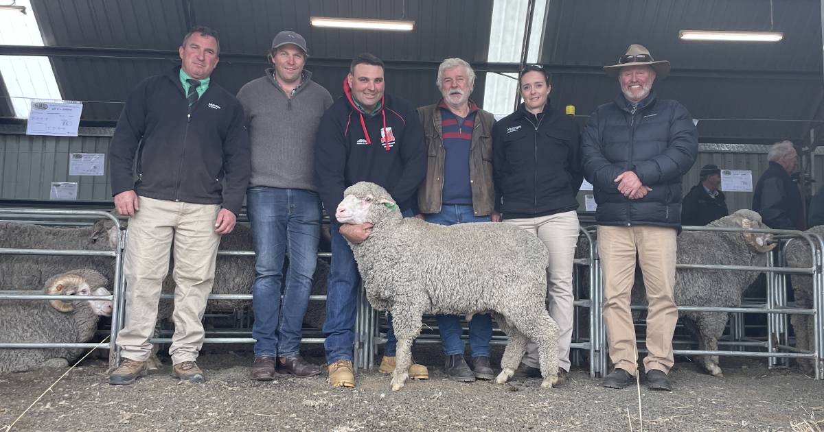 Return buyer of 30 years secures top-priced ram at Greenland