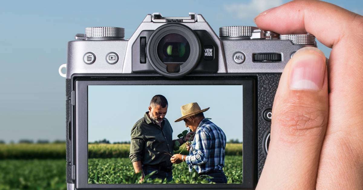 BASF launches The Biggest AgriPhoto Competition | The Land