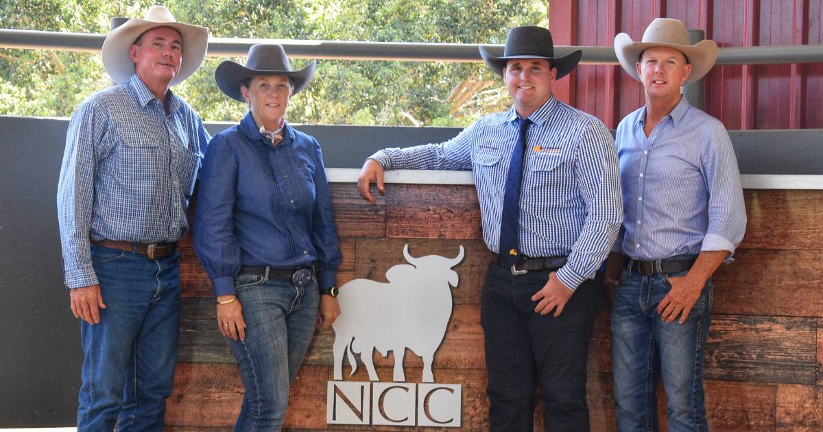 NCC Brahman sale delivers value buying at on-property sale