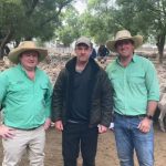 Australian Wool Innovation: Ed Storey could miss out on board position