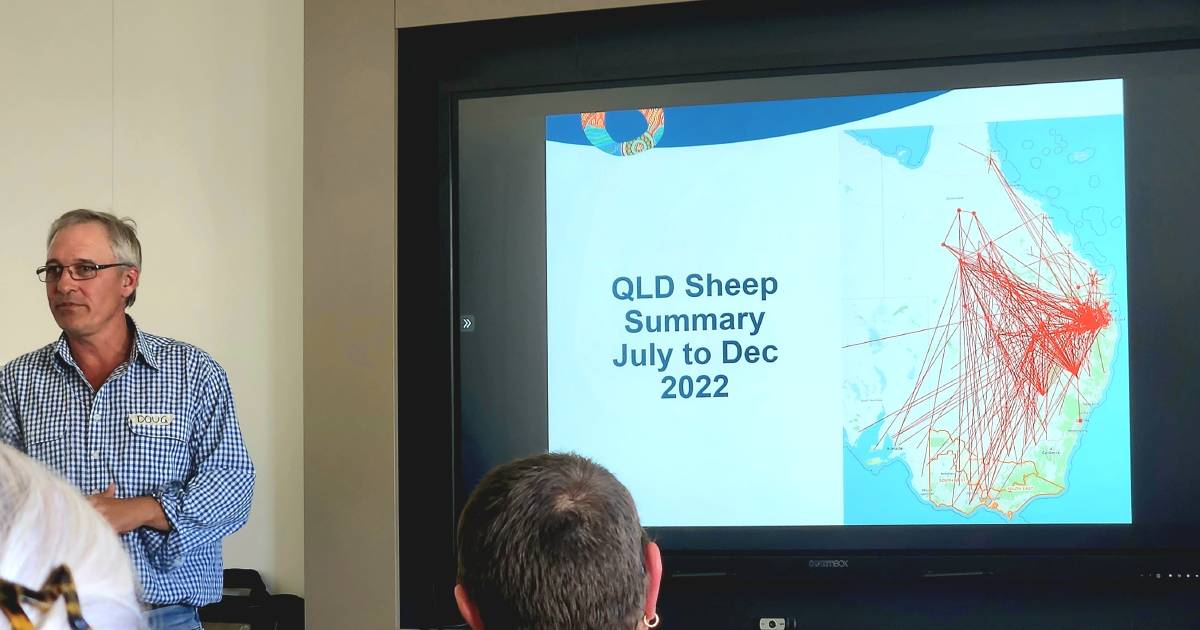 Biosecurity Queensland sheep and goat eID webinar fields questions | Queensland Country Life