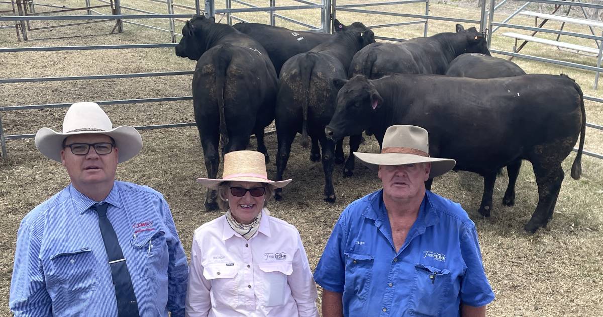 Outstanding Angus steers win at Moreton Beef Classic | Photos