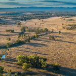 Cautious optimism from fodder producers