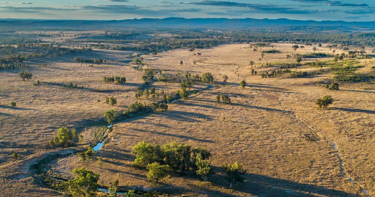 Southern Downs' Warroo Station on the market after 174 years