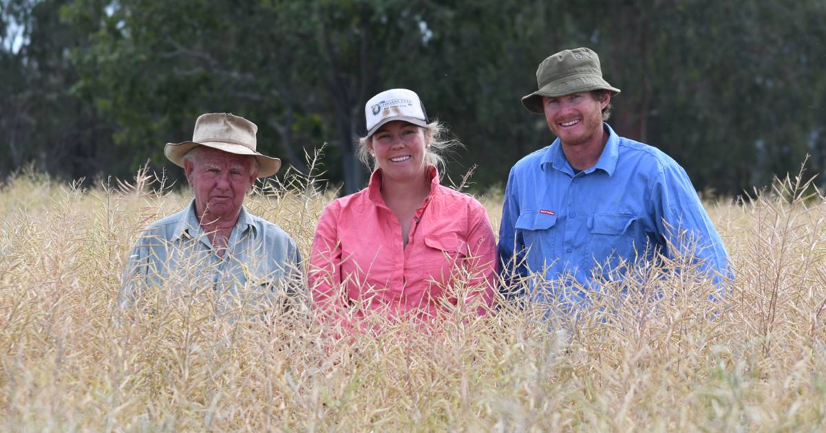 One point separates top two crops in canola competition