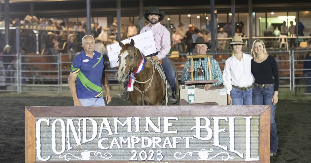 Tamworth Horse Trainer Hugh Miles riding Times Up wins $75,000 Condamine Bell Open | Queensland Country Life