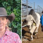 RBWS bulk buyer 'The Valley of Lagoons' targeting horned bulls