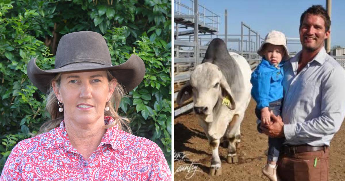 Central Queensland graziers join ABBA board