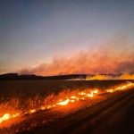 CQ megafire: When big smoke takes over rural fires, local know-how still needed