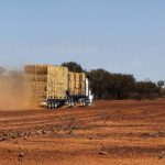 Top opportunity to acquire quality Darling Downs farming country