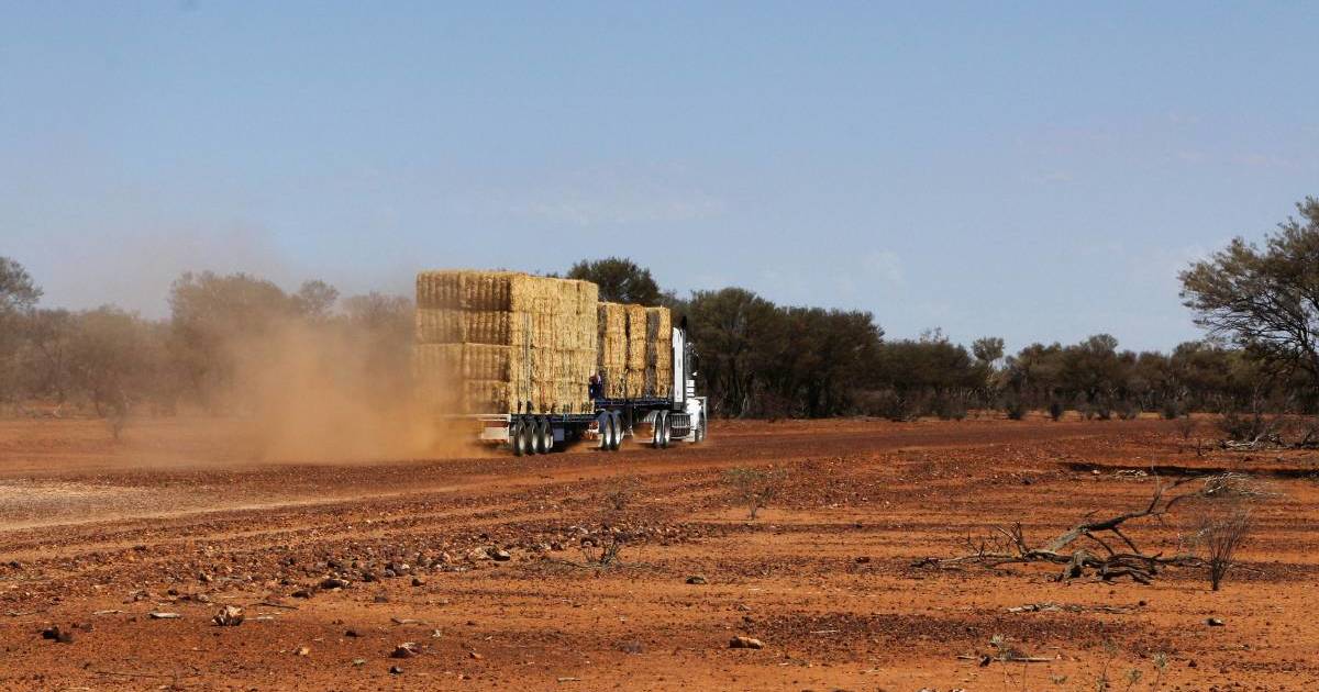 Queensland farmers impacted by fire to receive emergency fodder | Queensland Country Life