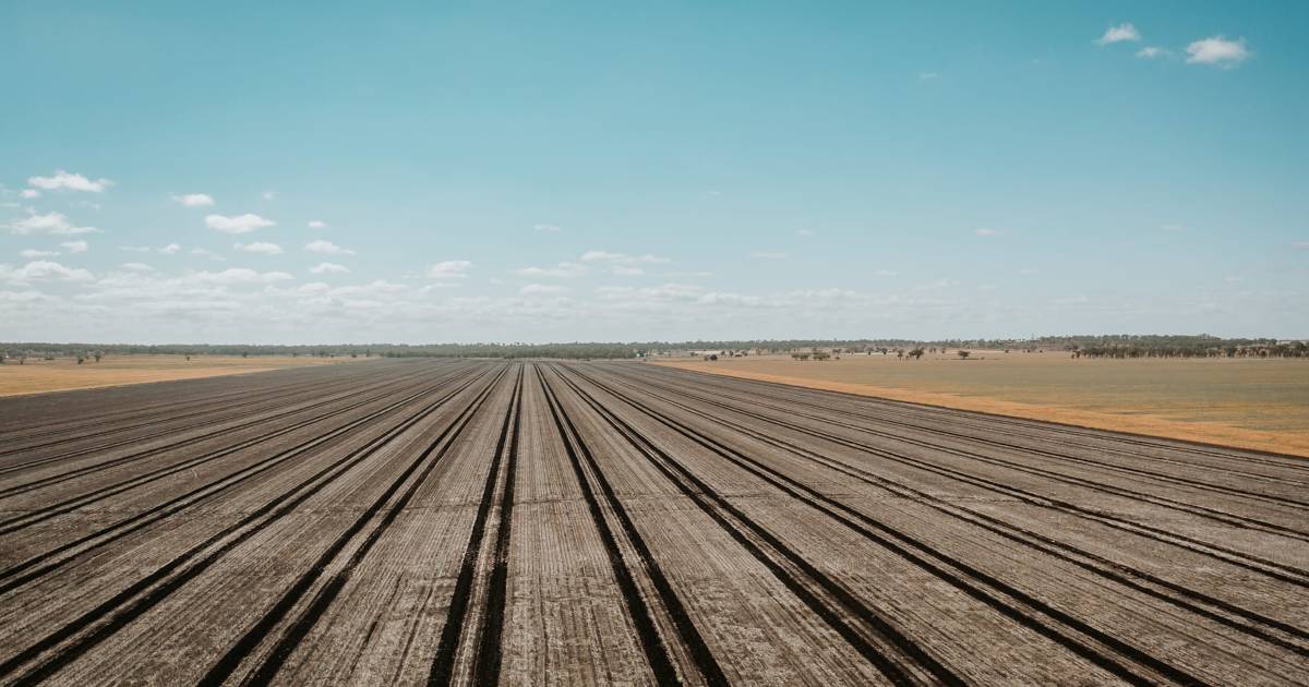 Top opportunity to acquire quality Darling Downs farming country