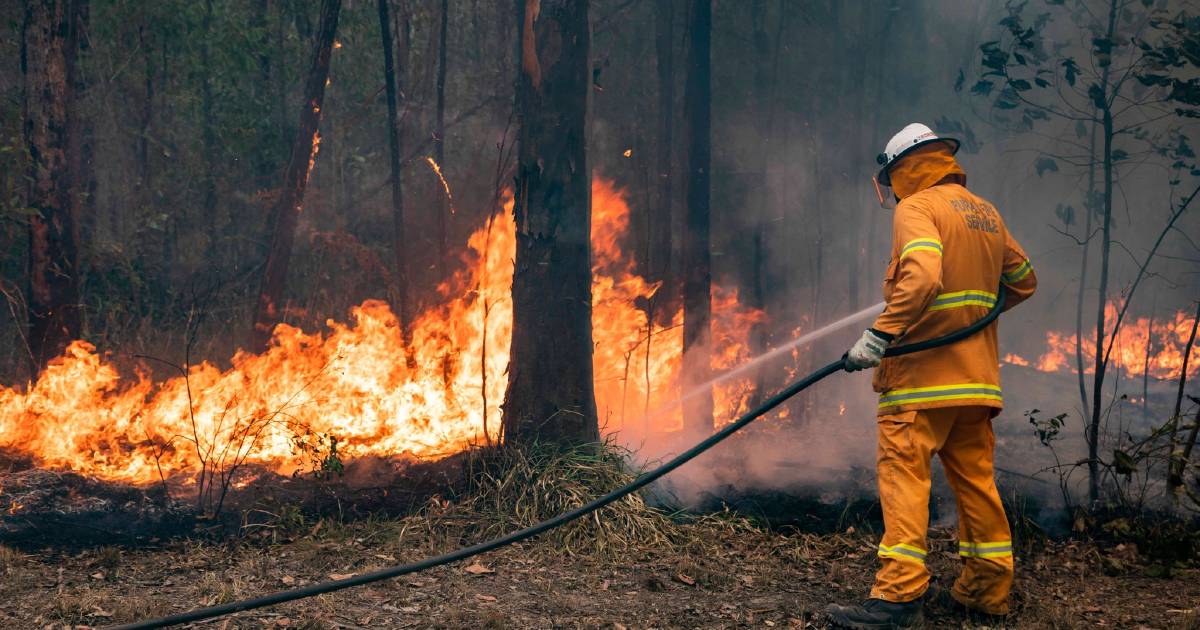 'Local farmers came out to do the hard yards': stories from the front line