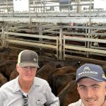 The Brothers ideal for cattle, prime lambs and wool production | Video