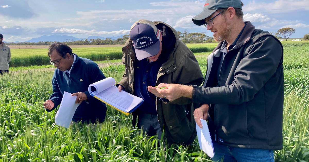 2024 Western Australian Crop Sowing Guide now available | Farm Weekly