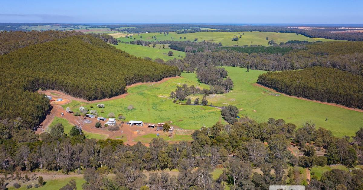 Warakirri Asset Management has bought two established vineyards in WA | Farm Weekly