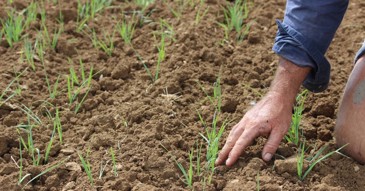 Celebrate our farmers, food and fibre this National Ag Day