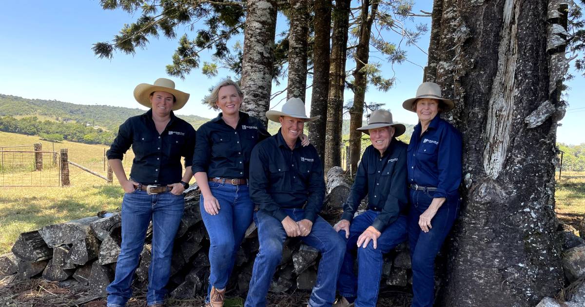 From Adelaide sheep to Atherton stud cattle