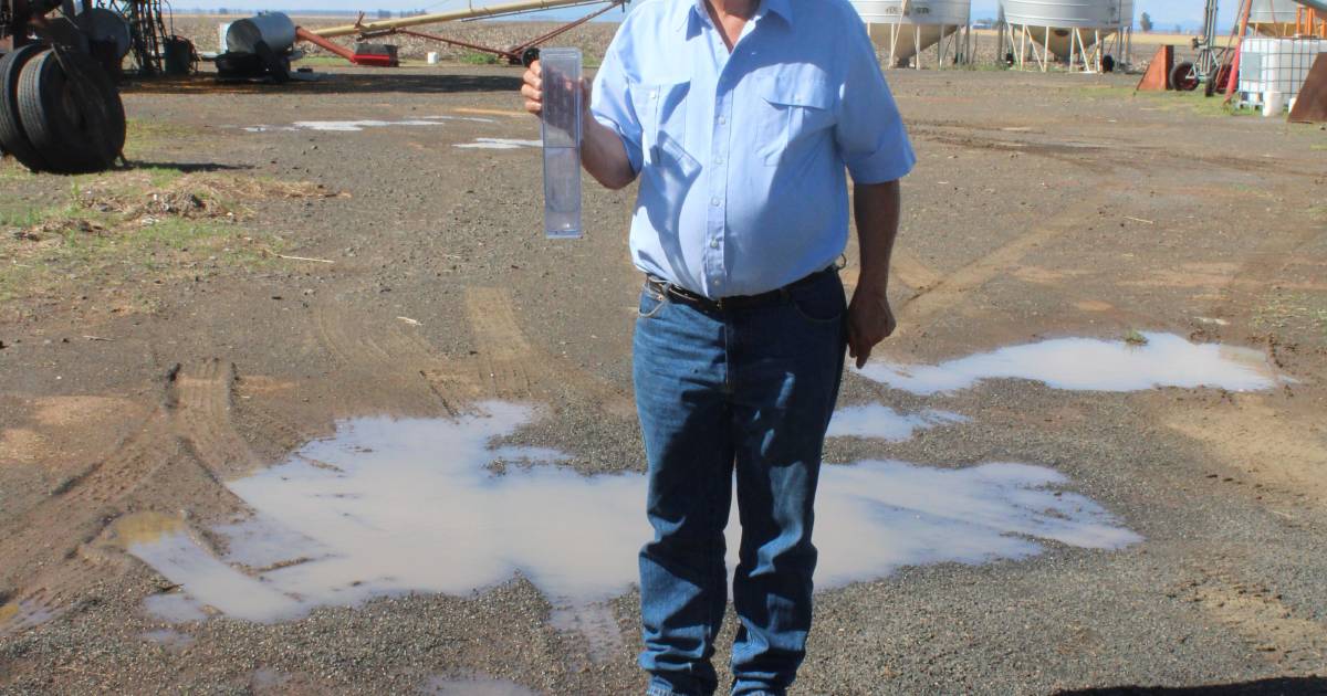 Rain reward following harvest for Darling Downs farmer