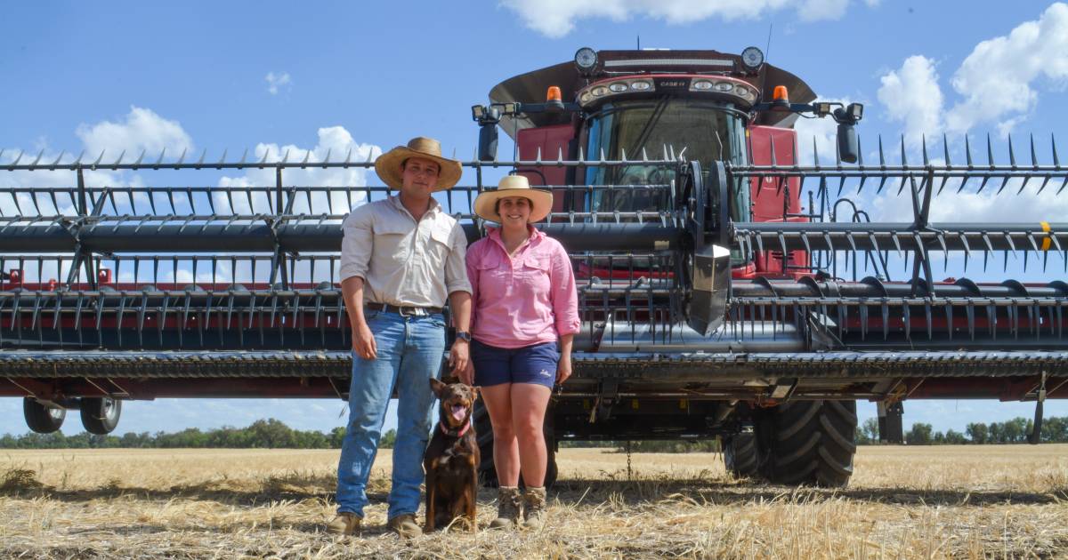 The good, the bad and the patchy for winter harvest