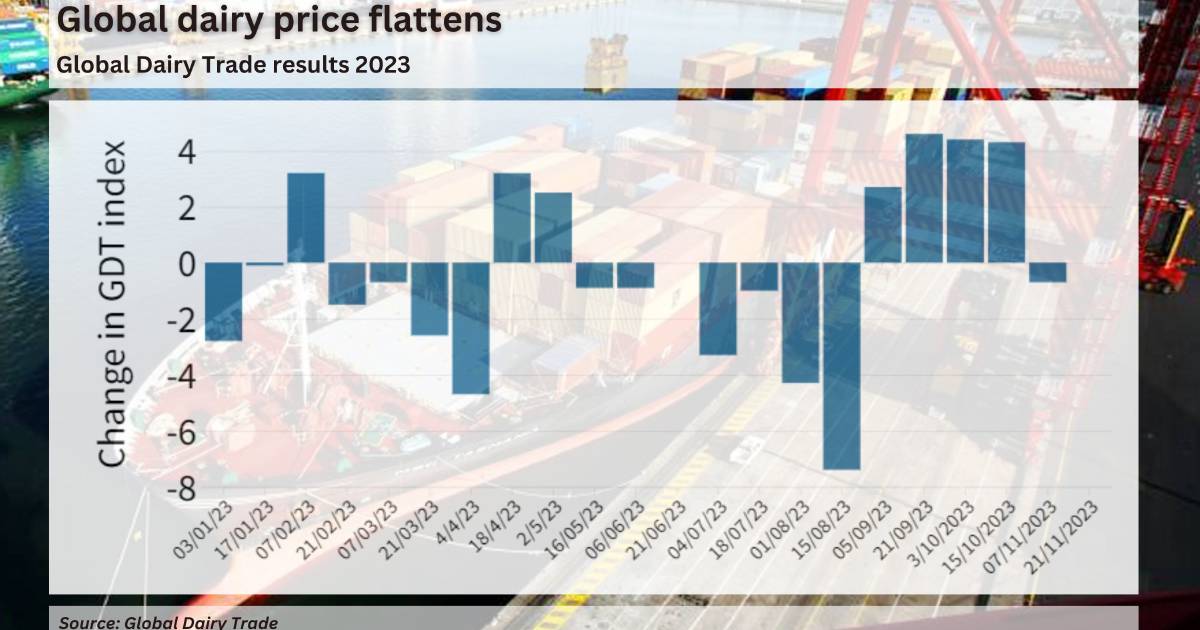 Global dairy prices steady but cheddar suffers big fall