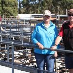 Chillagoe's history reflected in new town hall murals