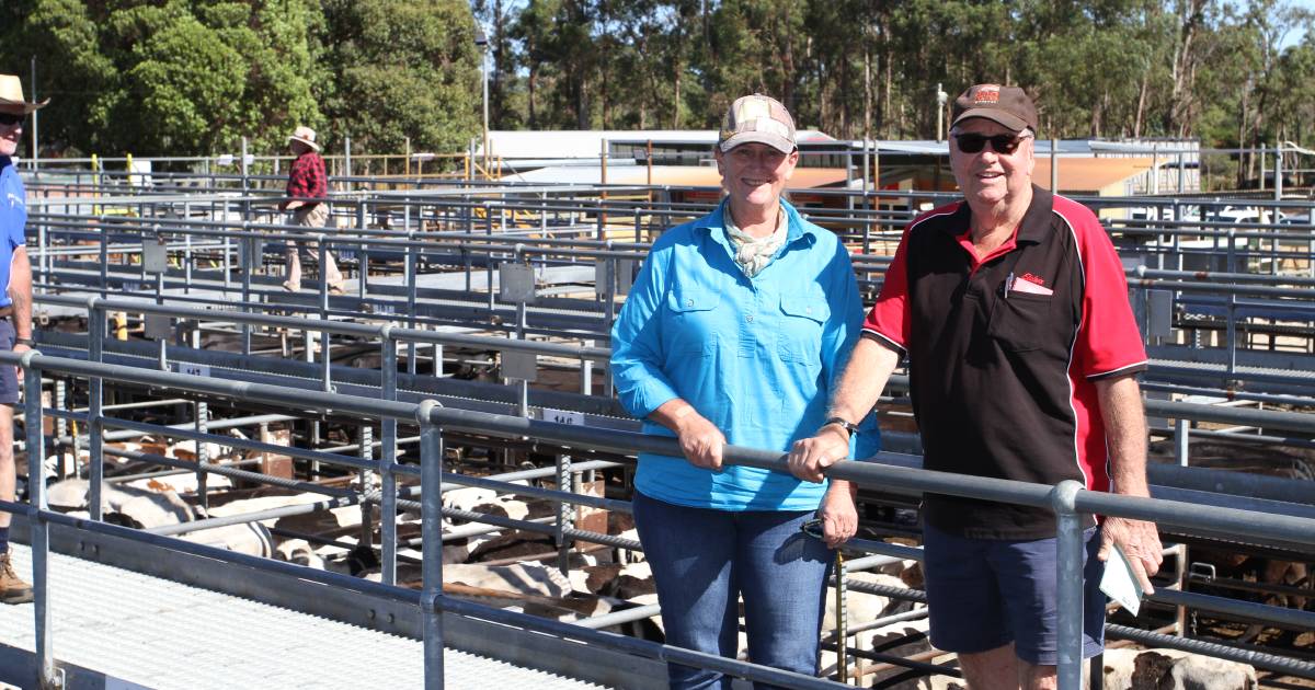 Big crowd gathers for Boyanup monthly store cattle sale