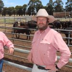 Chillagoe's history reflected in new town hall murals