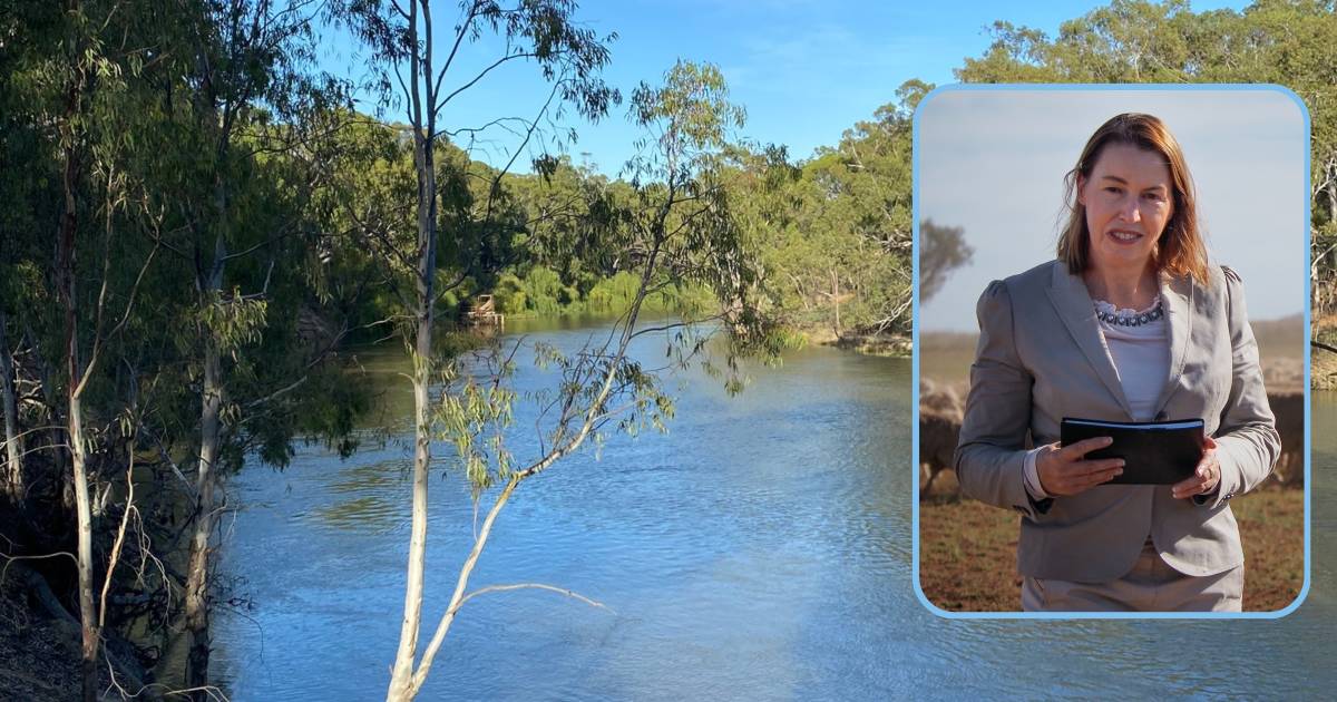 Murray-Darling Basin buybacks may be easy option but economic and social pain may prove too costly | The Land