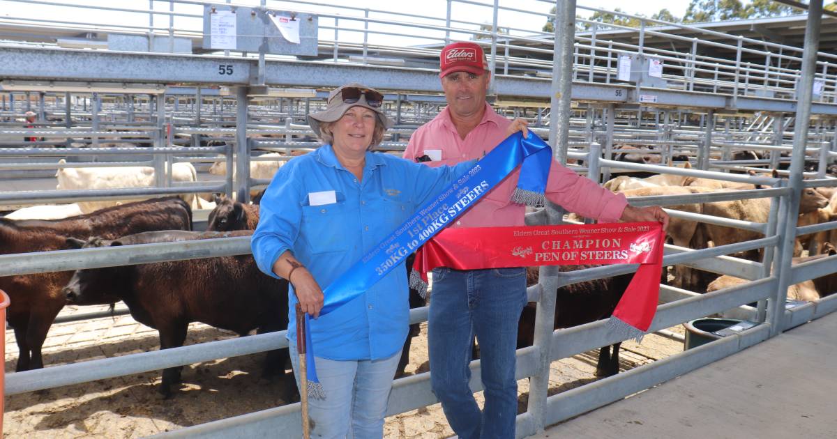 OConnors win champion steer pen | Farm Weekly